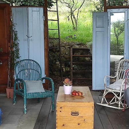 B&B La Casina Di Iris Ареццо Экстерьер фото