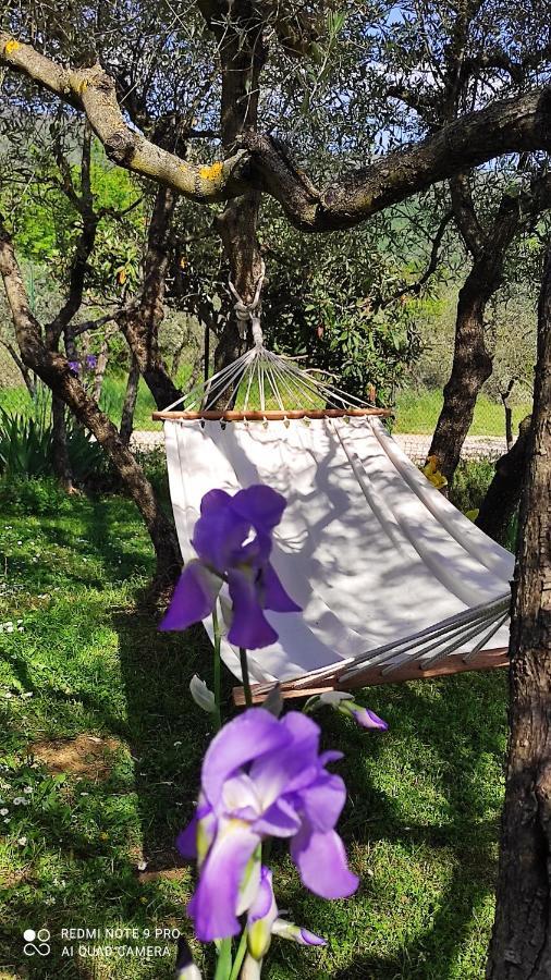 B&B La Casina Di Iris Ареццо Экстерьер фото