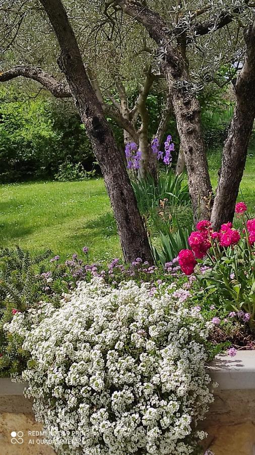 B&B La Casina Di Iris Ареццо Экстерьер фото
