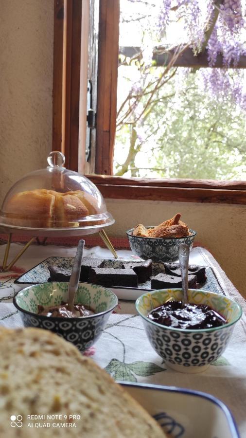 B&B La Casina Di Iris Ареццо Экстерьер фото