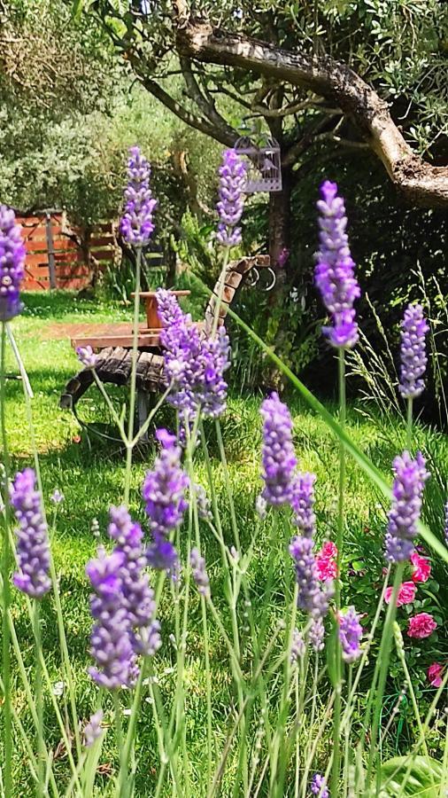 B&B La Casina Di Iris Ареццо Экстерьер фото