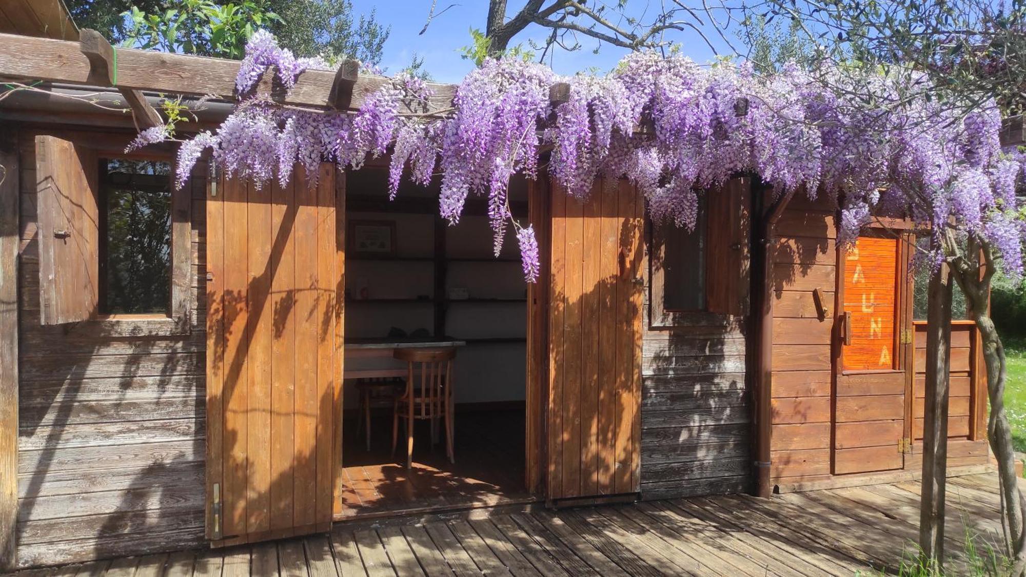 B&B La Casina Di Iris Ареццо Экстерьер фото